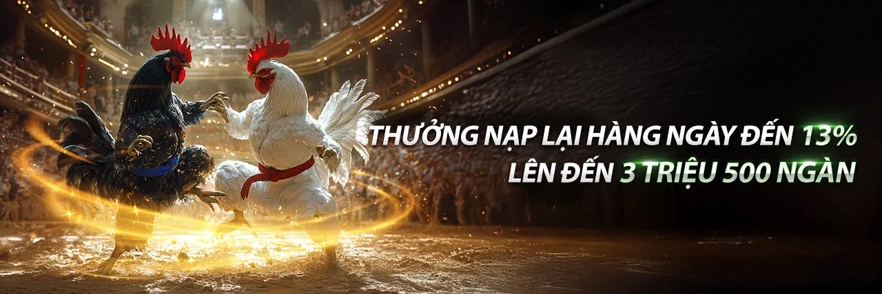 Đá Gà Trực Tiếp Cúp C4 tại VB88
